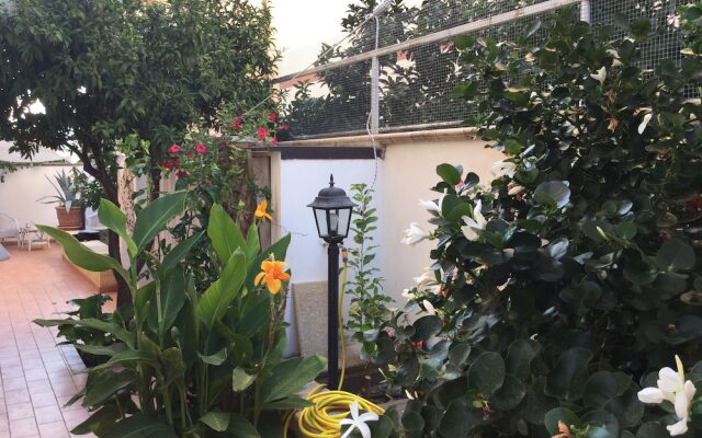 Jonico Guest House