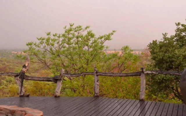 Wild & Free Game Lodge