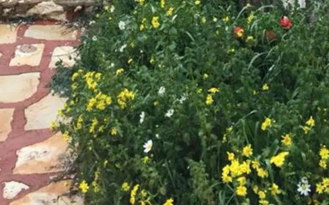 Oread Garden