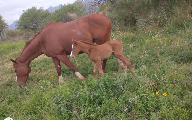 Munay EcoHostal - Posada de Adobe