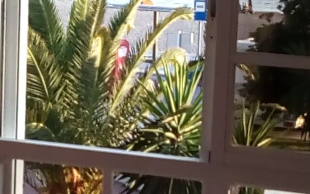 Apartamento Primera Línea de Playa