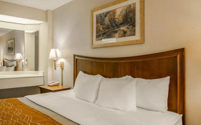 Comfort Inn On The River