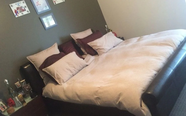 Hollywood Tree House