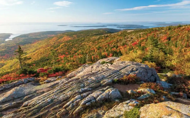 The Woods of Eden Glampground