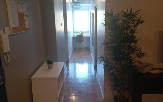 Home carriche 7