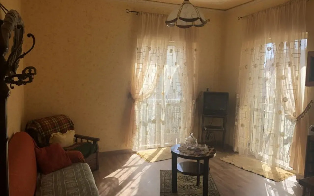 Central Apartment