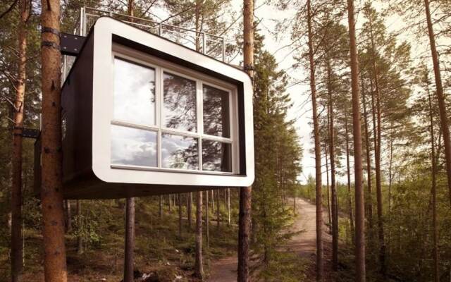 Tree Hotel