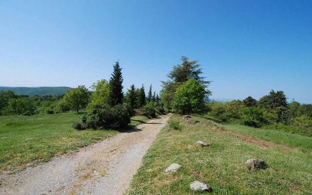 Palazzuolo Vecchio - One Bedroom No.2