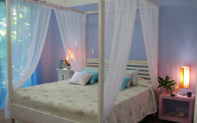 VIP Hotel Playa Negra