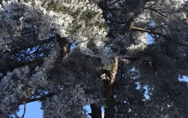 Lushan Dongtian Guesthouse