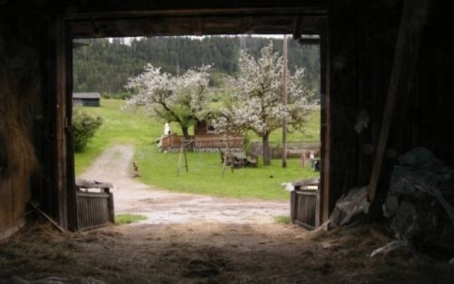 Palfengut