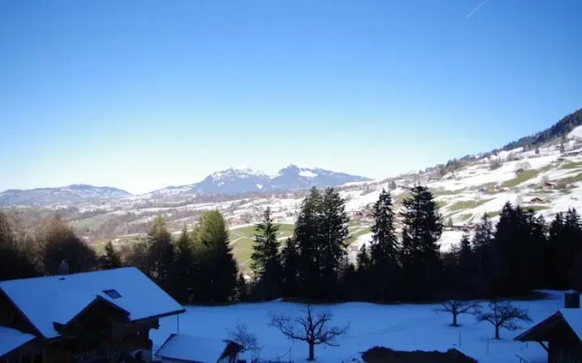 Niesenblick