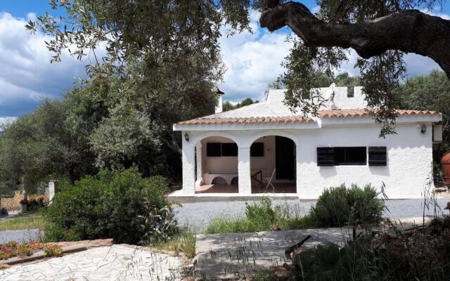 Lilly - Lovely small Villa among Olive Trees