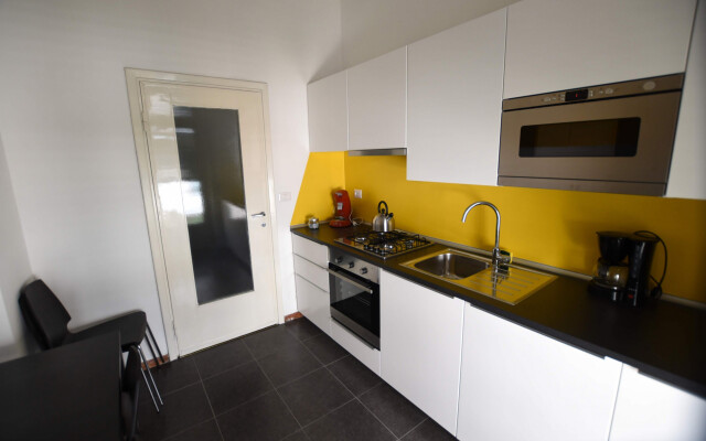 Rondone Giallo - Le Rondinelle