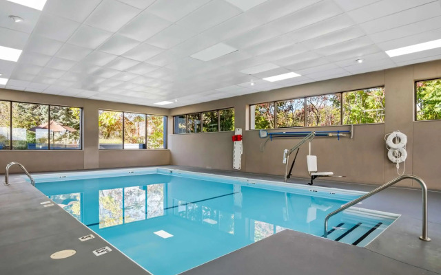 Spark by Hilton Stevensville
