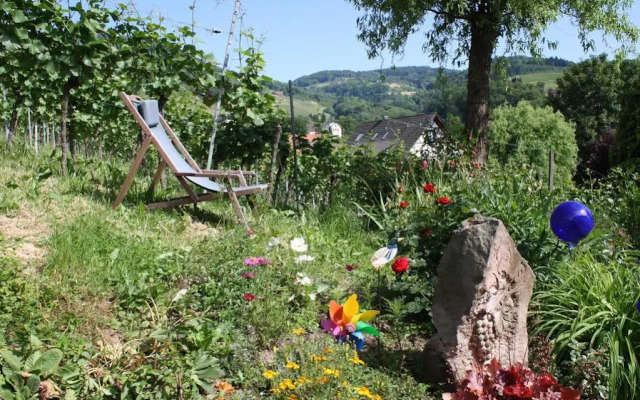 Pension am Weinberg Heidi Spinner
