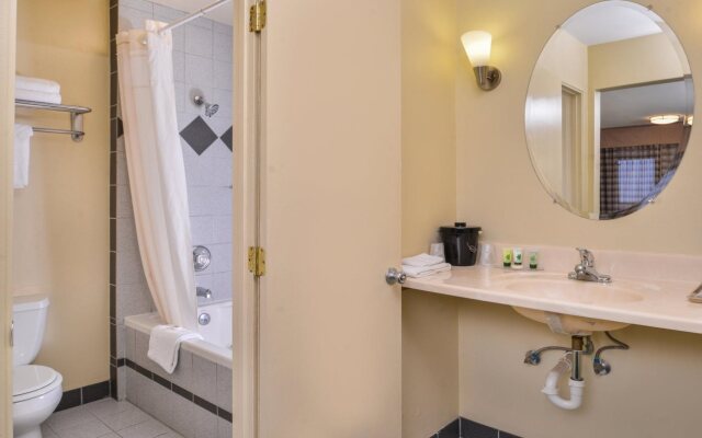 University Inn & Suites
