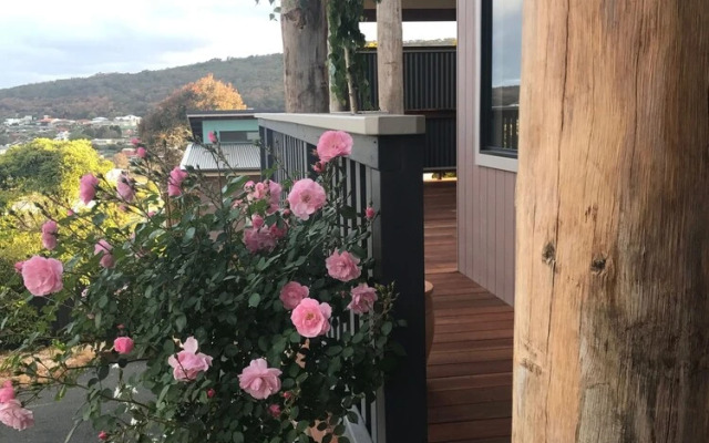 Oceans Islands and Whales