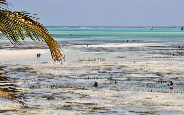 Kimte Beach Lodge