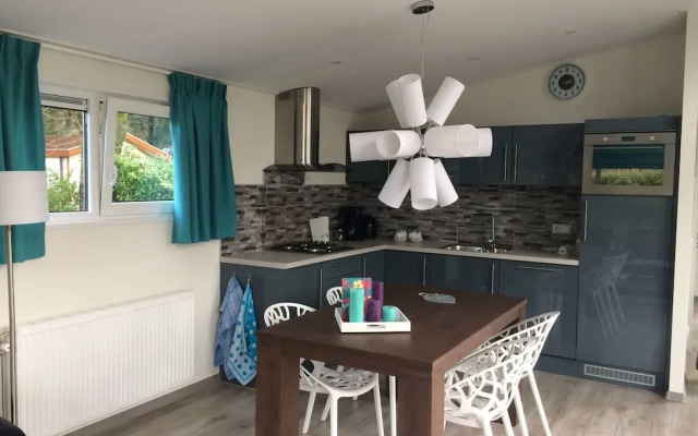 Modern Chalet in the Polder 15km From Alkmaar