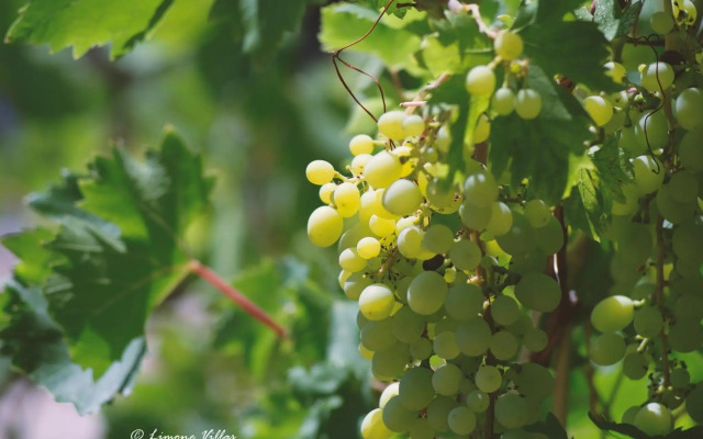 Limone Villas No 4&5