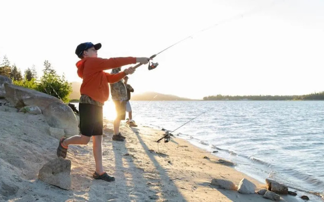 Pinetree Retreat #2499