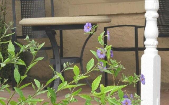 Amalie Cottage Waikerie Unit 1