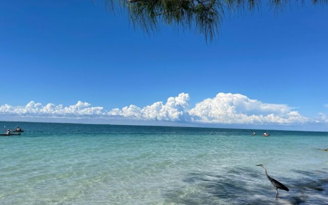Anna Maria Beach Serenity