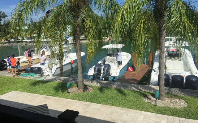 Dolphin Cove - Adults Only