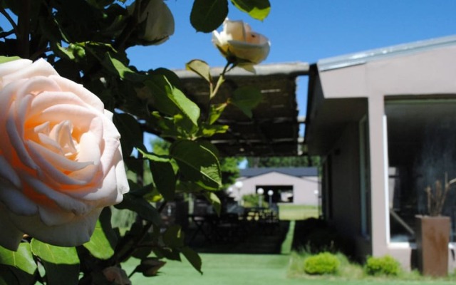 Hotel Malargüe Inn & Suites - Spa Casino