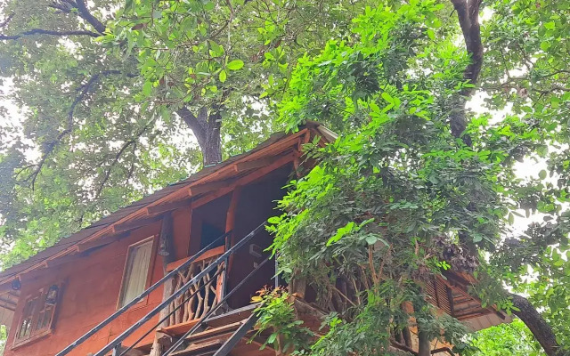 Bed & Bicycle Hostel Dambulla