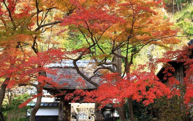 WeBase Kamakura