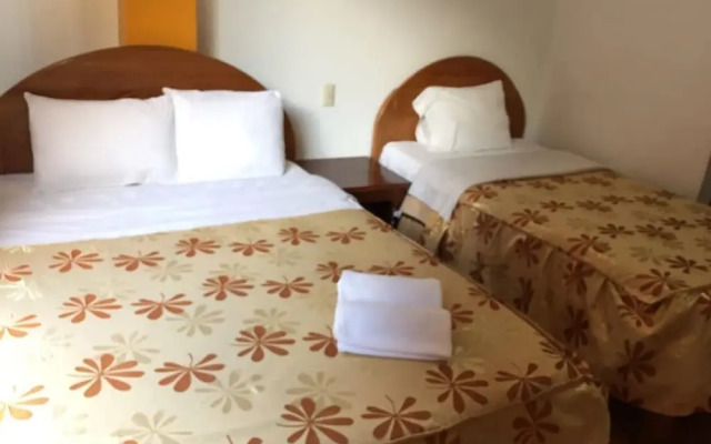 Hostal Bromelias 2