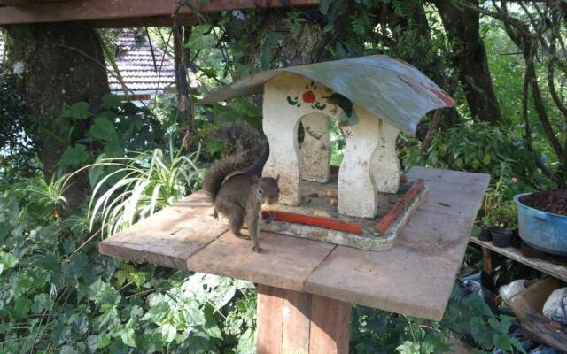 Chalés Mirante Monte Verde