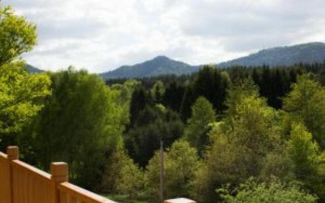 Chalet Taintrux, 4 pièces, 6 personnes - FR-1-589-222