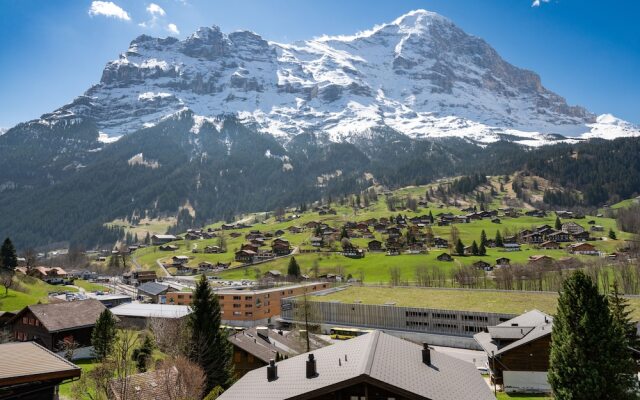 Chalet Alia and Apartments-Grindelwald by Swiss Hotel Apartments