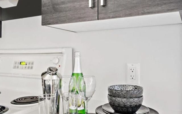 Brand New Contemporary 2-bedroom Apartment