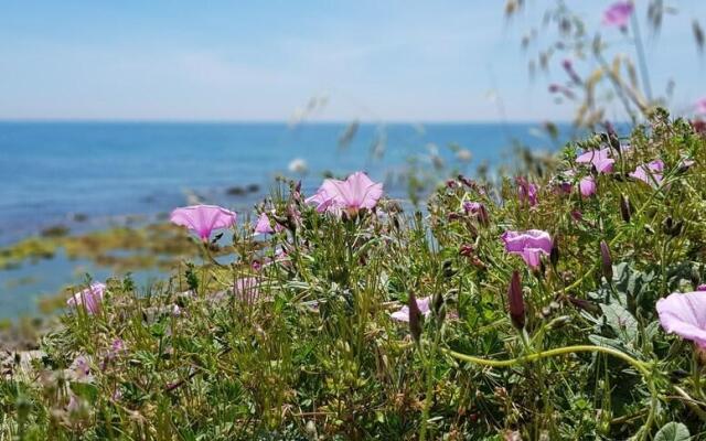 Exquisite Calahonda Beach Studio