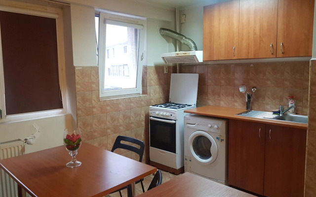 Avrig-Ferdinand Studio