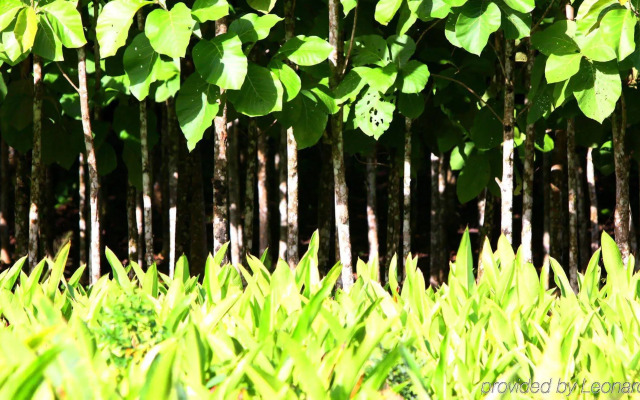 Machaca Hill Lodge