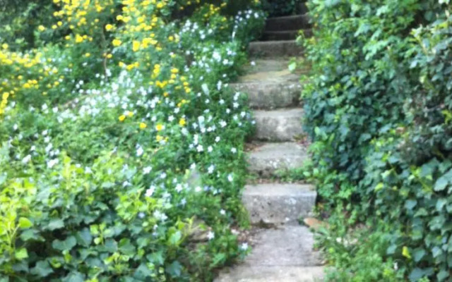 Domaine des hauts de sauvebonne