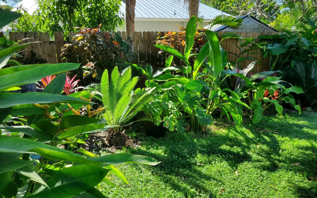 Tropical Hideaway!