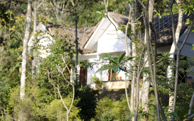 Niraamaya Retreats Cardamom Club