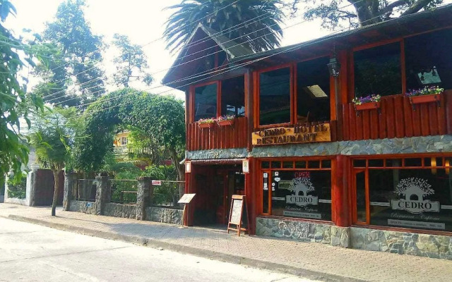Hotel Cedro
