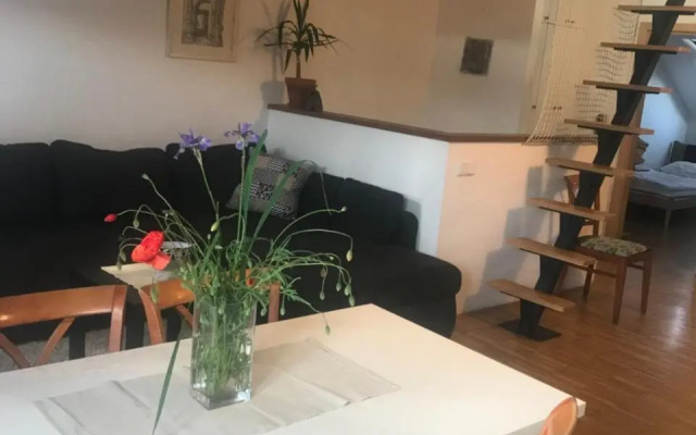 Apartmán Slovinská 28