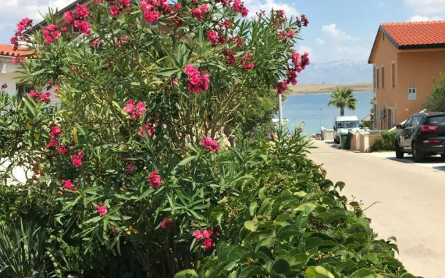 Apartmani Darija