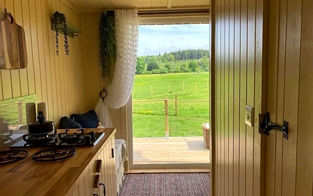 Neddys Rest Luxury Horsebox Stay
