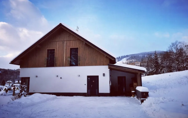 Villa in Austria Near Ski Slopes