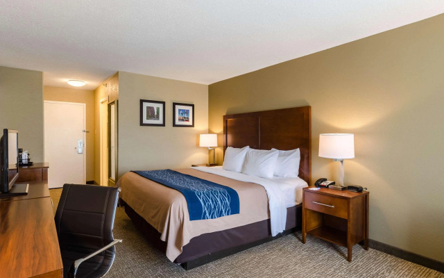 Comfort Inn Randolph - Boston