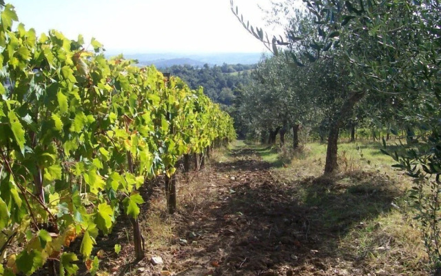 Agriturismo La Vigna